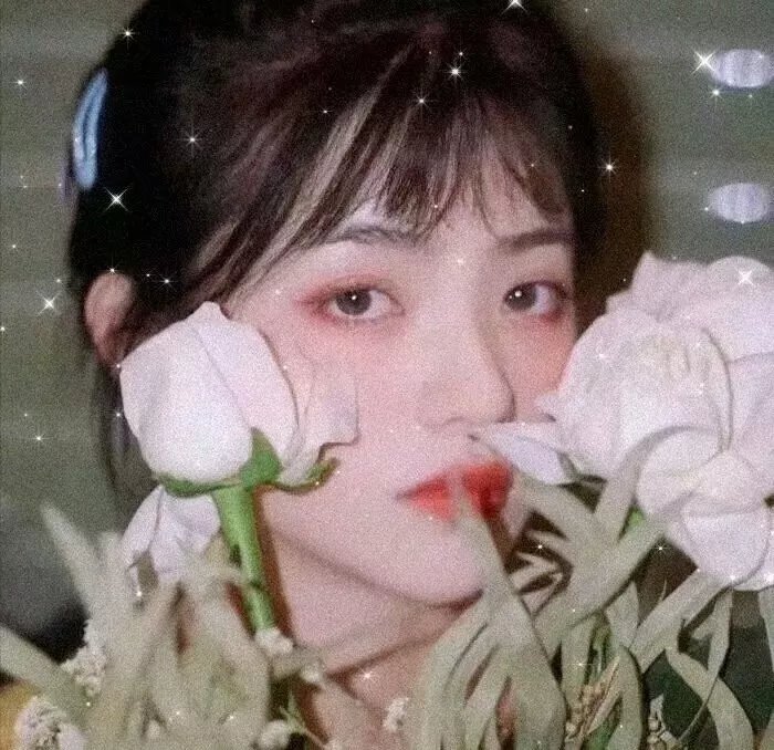 傻人吉星