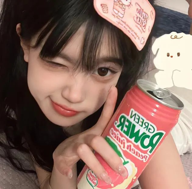 爱情动物