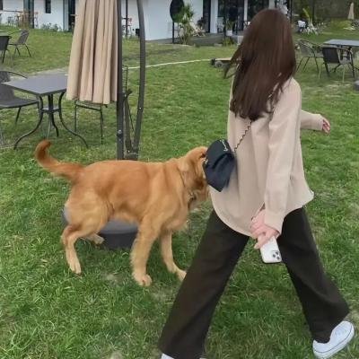 我谈的那场恋爱